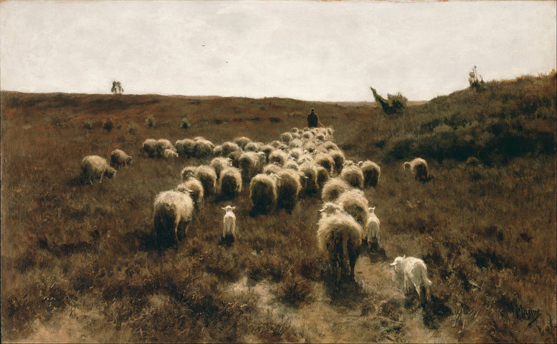 Anton Mauve, The Return of the Flock, Laren