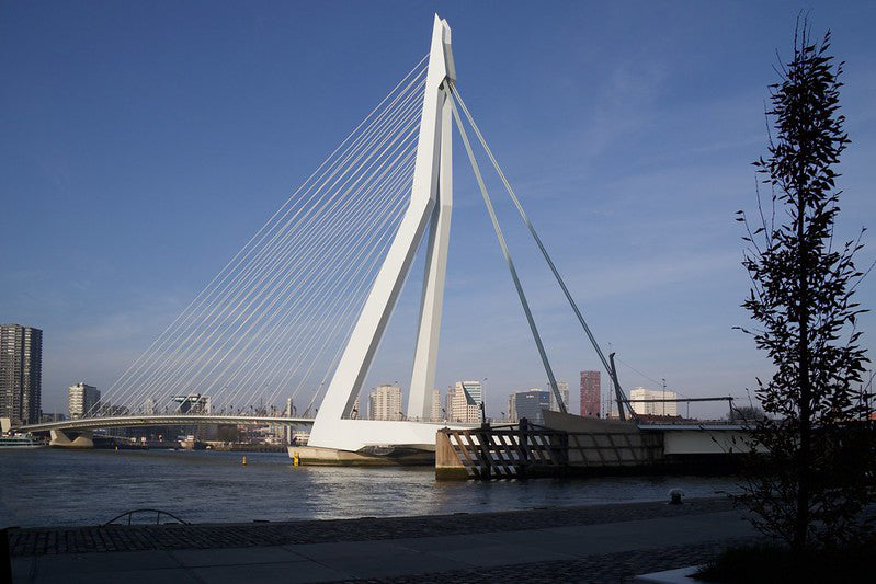Erasmus Bridge (Photo: 1000zen)