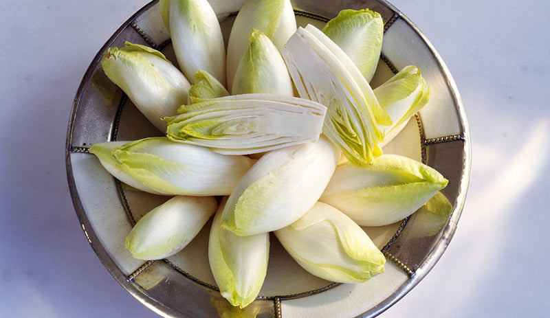 Witlof Belgian Endive